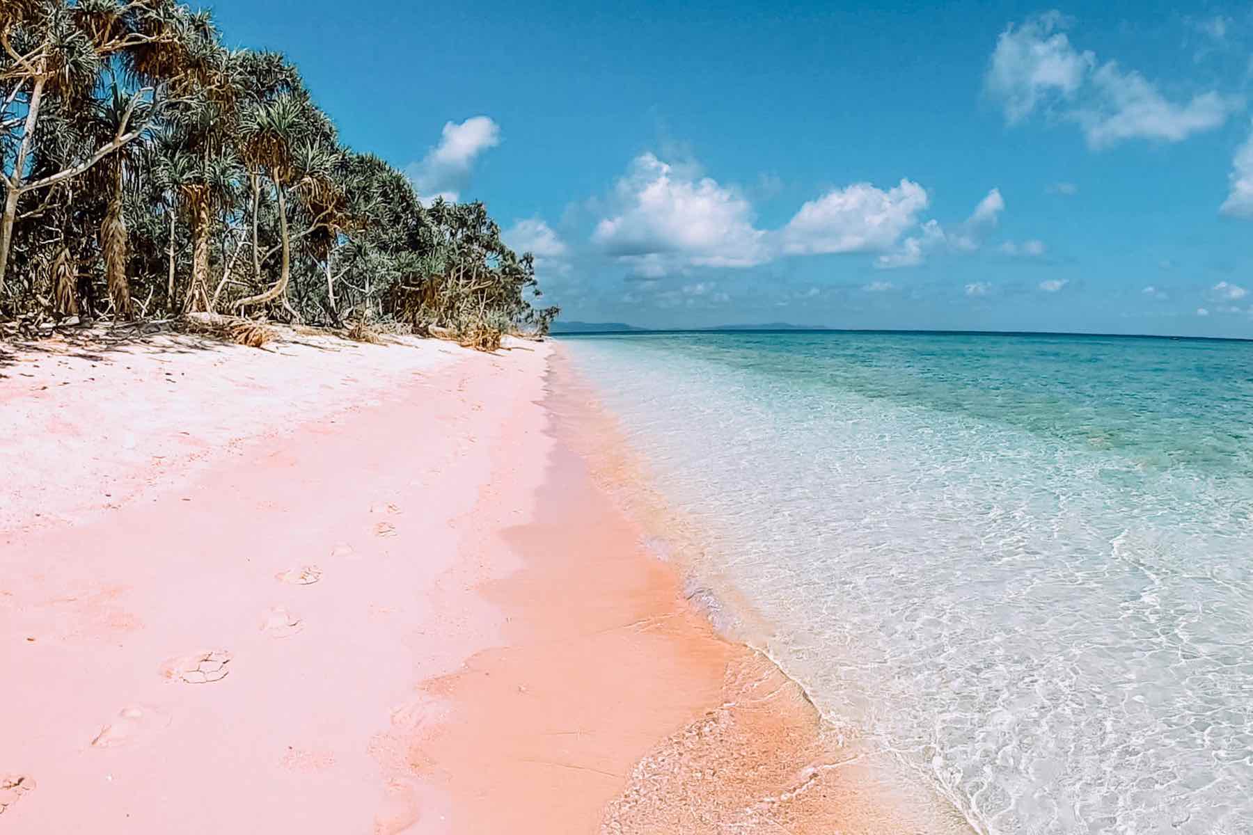 Pink Island Balabac Philippines