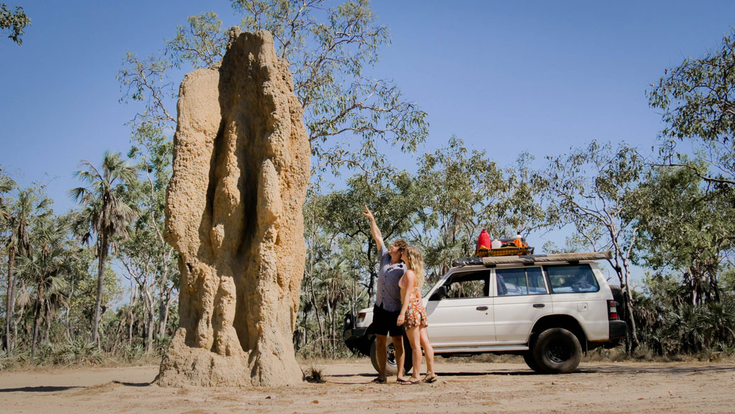 Magnetic Termite Mounds de Litchfield National Park