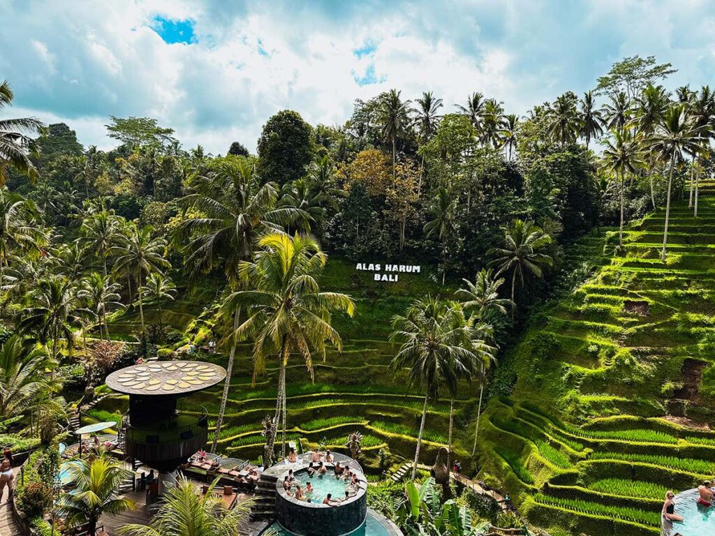 Visiter Bali guide complet rizières